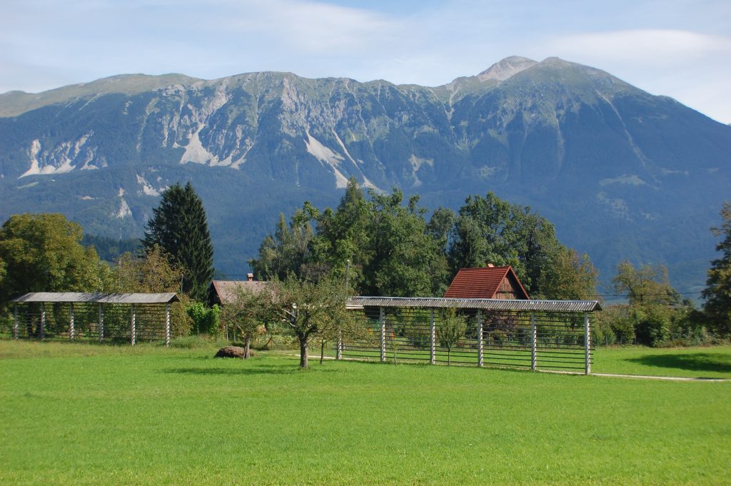 ApArt Bled 3